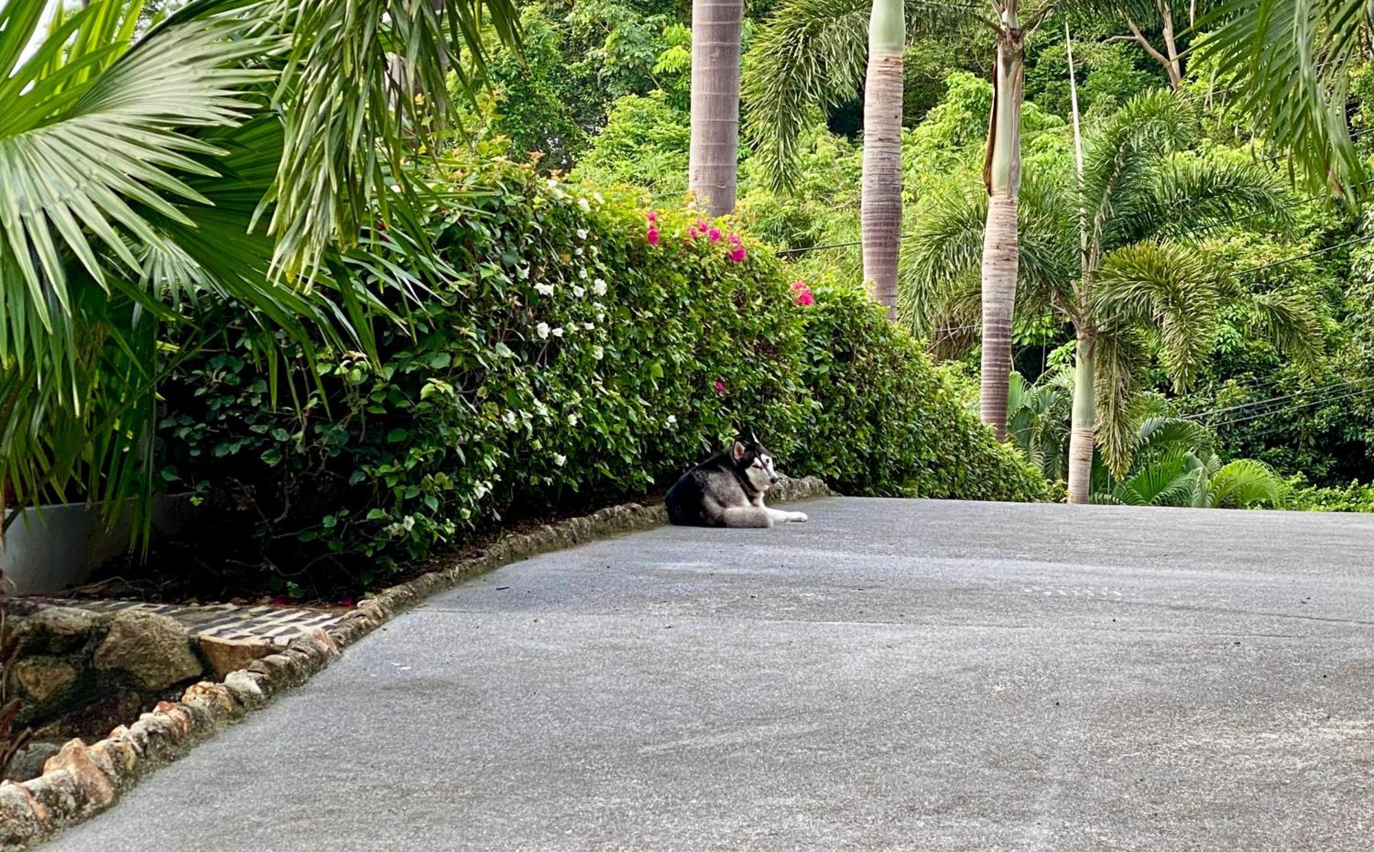 Ko Samui Seaview Pool Villa Seren With Car Laem Set strand Eksteriør bilde